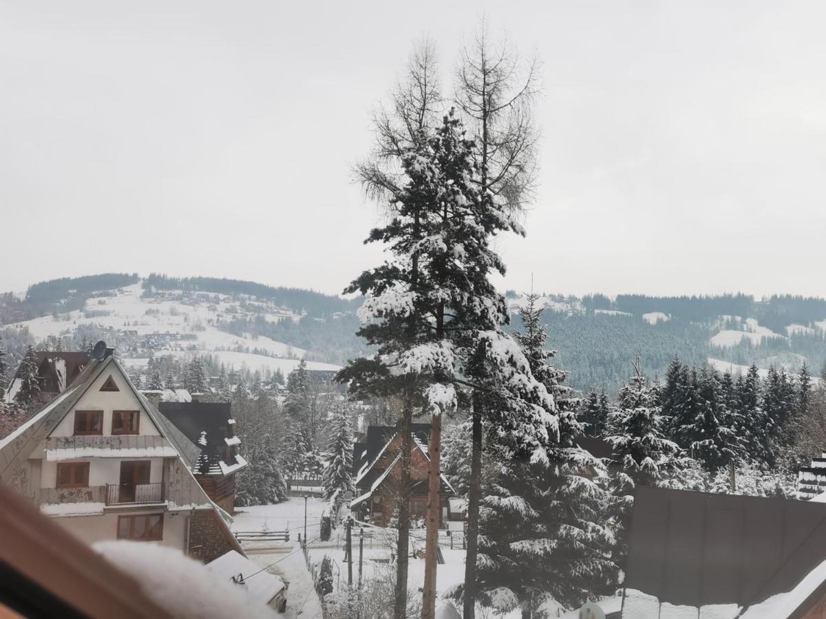 Apartamenty Villa Ski-Bowki Zakopane Exterior foto